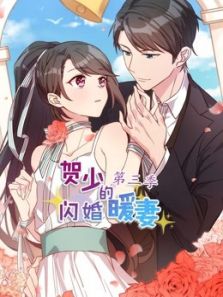 贺少的闪婚暖妻3动漫