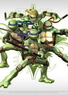 忍者龟动漫