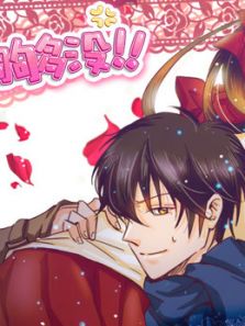 继承者驾到：校草闹够没动漫