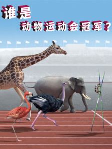 谁是动物运动会冠军动漫