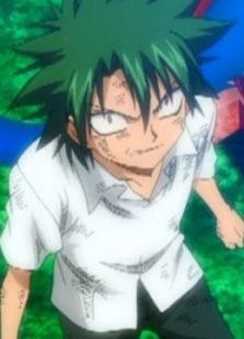 植木的法则动漫