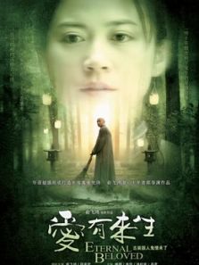 爱有来生（2009）电影