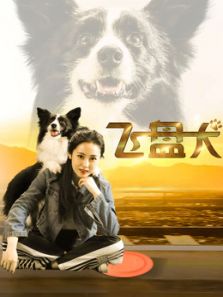 飞盘犬电影