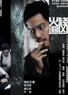 火线追凶9:冲破黑幕电影