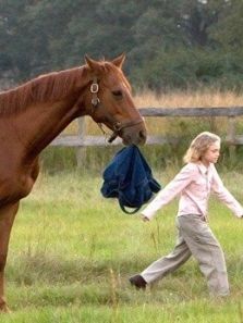 梦想飞驰电影