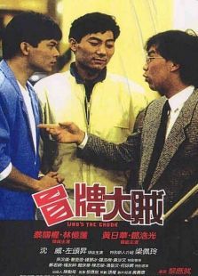 冒牌大贼电影