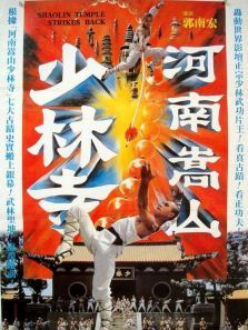河南嵩山少林寺电影