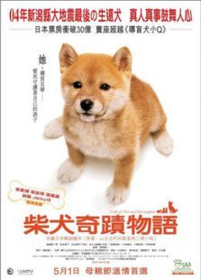 忠犬八公物语电影