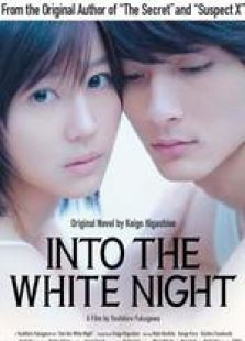 白夜行(2011)电影