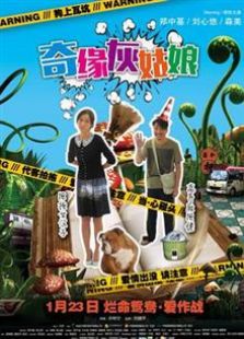 奇缘灰姑娘（2014）电影