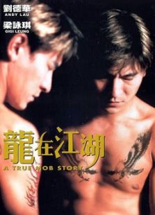 龙在江湖（1998）电影