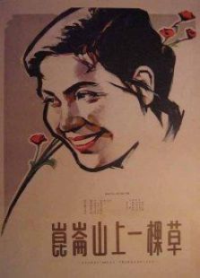 昆仑山上一棵草电影