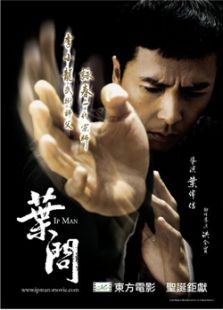 叶问1:一代宗师电影