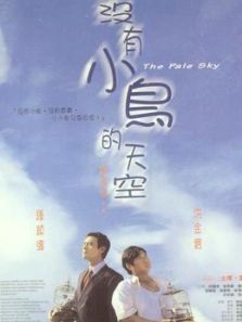 没有小鸟的天空(粤语)电影
