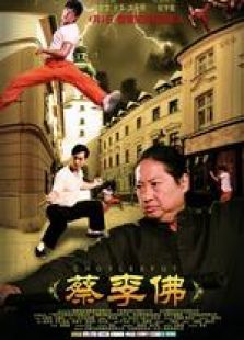 蔡李佛:极限拳速电影