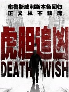 虎胆追凶(国语)电影