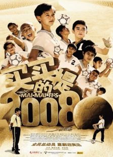 买买提的2008电影