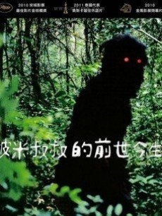 能召回前世的布米叔叔电影