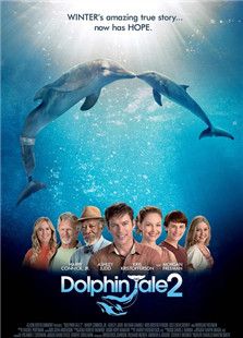 海豚的故事2电影