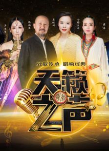 东南卫视天籁之声（2017）