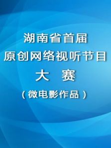 湖南省网络原创视听节目大赛（网络剧网络电影）（2016）
