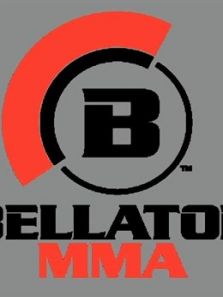 Bellator 回放（2020）