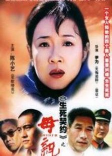 母亲(陈小艺)电视剧