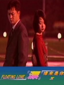 漂之缘来是你缘本无约电视剧