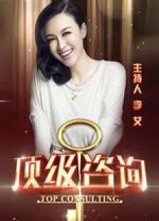 顶级咨询（2017）