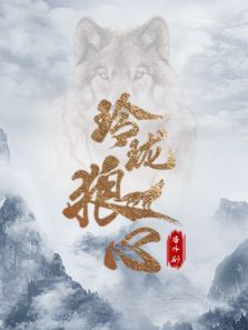 玲珑狼心（番外）剧电视剧