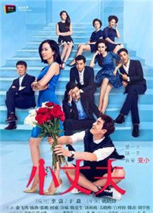 小丈夫(2016)电视剧