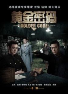 黄金密码电视剧