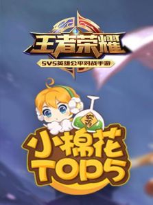 王者荣耀：小棉花top5（2018）