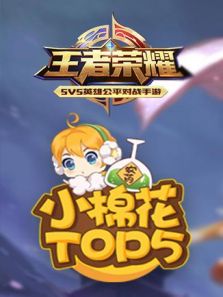 王者荣耀：小棉花top5（2018）