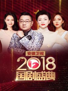 安徽卫视国剧盛典（2018）