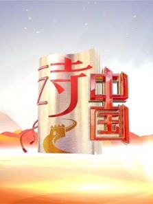 诗中国（2019）