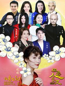 但愿人长久（2017）