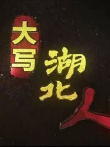 大写湖北人（2020）