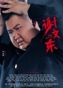谢文东2电视剧