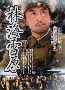 林海雪原(2002)电视剧