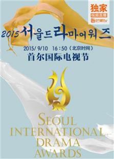 第十届首尔国际电视节（2015）