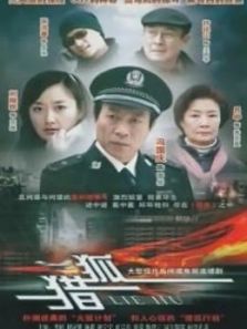 猎狐(2012)电视剧