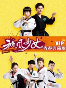 旋风少女2（VIP青春典藏）电视剧