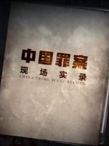 罪案现场实录（2019）