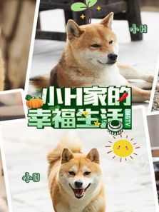 小H家的幸福生活（2019）