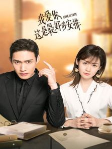 我爱你这是最好的安排电视剧