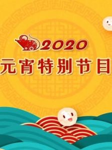 2020央视元宵特别节目