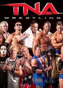 TNA（2017）