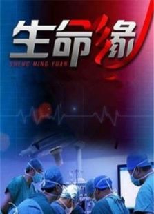 身边.生命缘(2016)