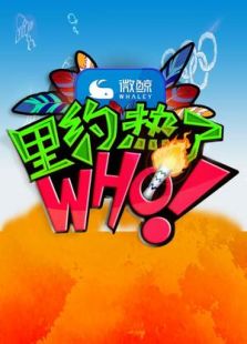 里约热了WHO（2016）